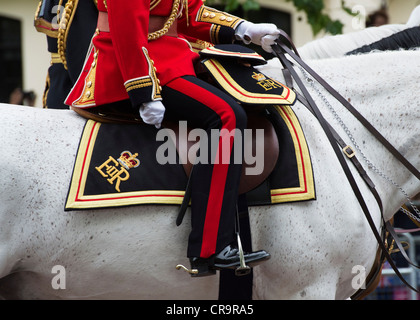 Officier de l'armée britannique à cheval détail, Parade du couleur. Le centre commercial. Angleterre Londres Banque D'Images