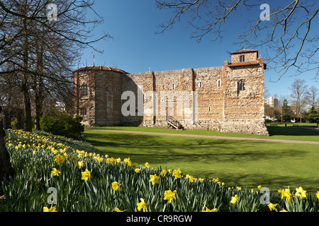 Grande-bretagne Angleterre Essex Colchester Castle Museum Château supérieur Park Printemps Banque D'Images