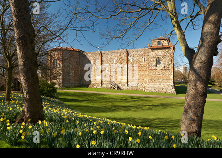 Grande-bretagne Angleterre Essex Colchester Castle Museum Château supérieur Park Printemps Banque D'Images