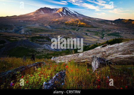 Mont St Helens Monument Volcanique National Banque D'Images