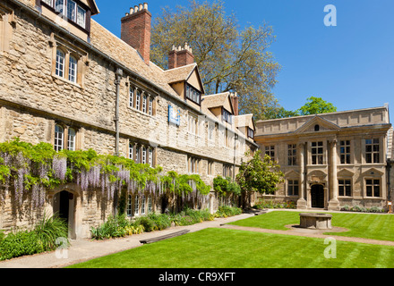 St Edmund Hall College quad Oxford University Oxfordshire Angleterre Royaume-Uni GB Europe Banque D'Images