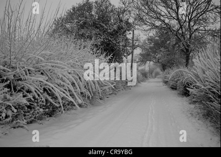 A snowy lane et haie prises en noir et blanc au début sur un matin de Janvier - Winsley, Nr Bradford on Avon, Wiltshire, UK Banque D'Images