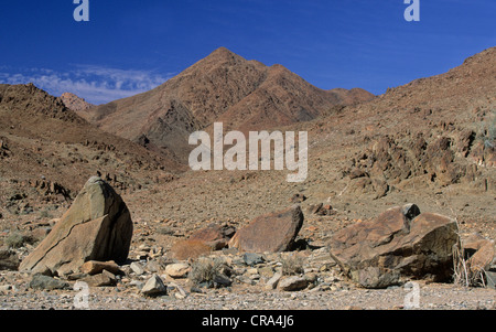 Desert rock, le parc national de Richtersveld, Northern Cape, Afrique du Sud Banque D'Images