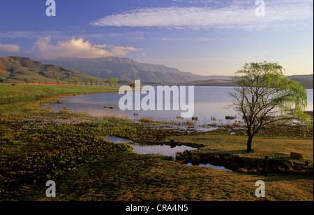 Scène du Drakensberg, lifton lake, sani lodge, cheboksary, Kwazulu-Natal, Afrique du Sud Banque D'Images