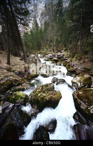 Ruisseau de forêt sur la mousse dans les Alpes (Hallstatt, Salzkammergut, Autriche supérieure) Banque D'Images