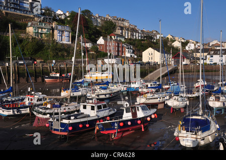 Vue d'Ilfracombe Harbour, sur la côte nord du Devon UK Banque D'Images