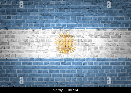 Une image de l'Argentine d'un drapeau peint sur un mur de briques dans une localisation urbaine Banque D'Images