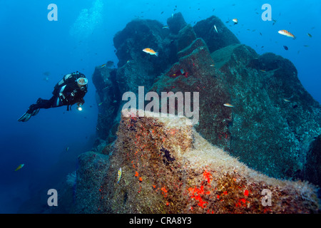 Plongée sous marine à la recherche de rochers envahis par Spirastrella cunctatrix éponge (rouge) et certains Ornate Wrasse (Thalassoma pavo) Banque D'Images