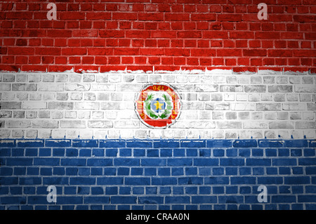 Une image de l'Paraguay flag peint sur un mur de briques dans une localisation urbaine Banque D'Images