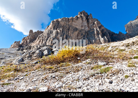 Tre Cime di Lavaredo, Drei Zinnen, Dolomites, Italie, Europe Banque D'Images