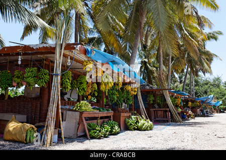 Étal de fruits traditionnels lors d'une route, palmiers, Salalah, Dhofar, Sultanat d'Oman, pays du Golfe, la péninsule Arabe Banque D'Images