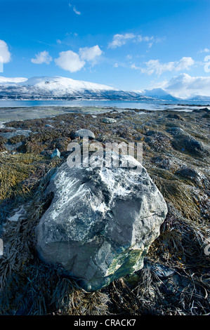 Herbe de mer et rochers sur une plage à marée basse avec une crête de montagne dans l'arrière-plan Banque D'Images