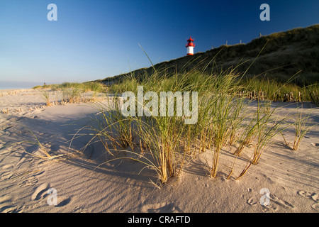 List-Ost phare, Liste, l'île de Sylt, Schleswig-Holstein, Allemagne, Europe Banque D'Images