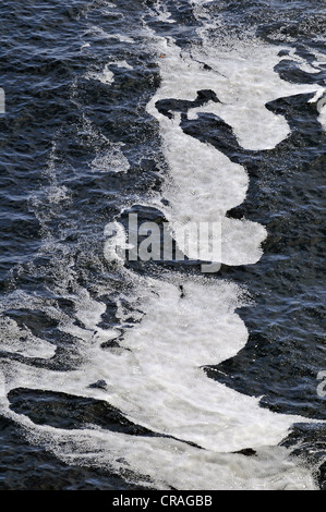 Écume de mer, large de Smidjuvikurbjarg, côte est de Hornstrandir, Westfjords, Islande, Europe Banque D'Images