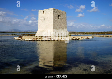 Salinas de Santa Pola, nature park, Costa Blanca, Espagne, Europe Banque D'Images