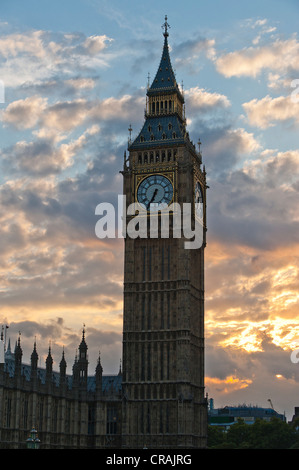 Big Ben, les Maisons du Parlement, du Palais de Westminster, Londres, Angleterre, Royaume-Uni, Europe Banque D'Images