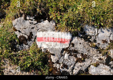 Marqueur de piste rouge et blanc peint sur un rocher, un symbole d'un sentier de montagne avec difficulté moyenne, Suisse, Europe Banque D'Images