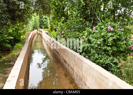 Canal d'irrigation en béton qui irrigue une oasis où les roses de Damas (Rosa Damascena) sont issus de l'agriculture, la vallée des Roses Banque D'Images