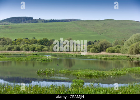 Vue d'une peau d'un des étangs de Loch Leven, Fife. Banque D'Images