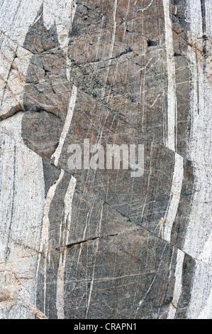 Black et White Rock structures sur l'Mittivakkat, Glacier de l'île d'Ammassalik, Est du Groenland Banque D'Images