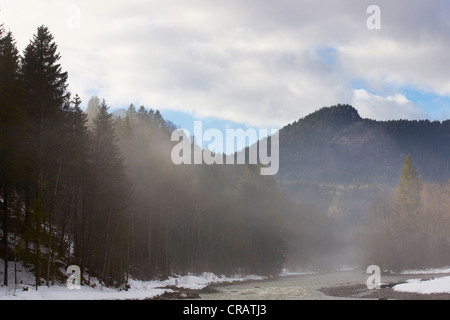 Matin brouillard dans la vallée de la rivière Breitach Banque D'Images