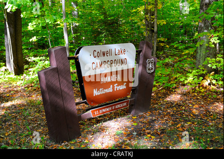 La couleur de l'automne dans la région de Hiawatha National Forest au camping du lac Colwell Banque D'Images