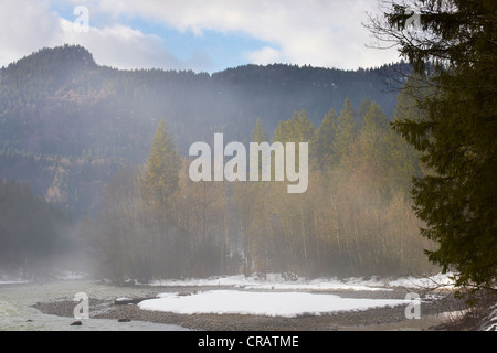 Matin brouillard dans la vallée de la rivière Breitach Banque D'Images