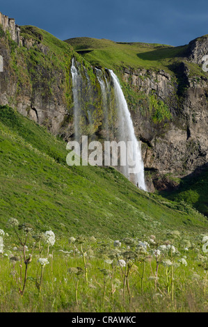 Cascade de Seljalandsfoss, le sud de l'Islande, Europe Banque D'Images