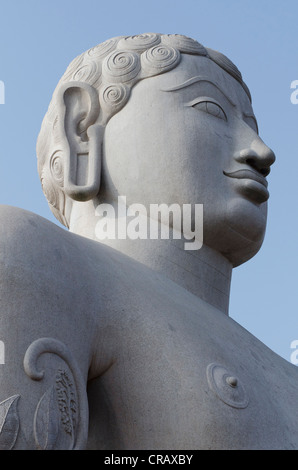 La statue de saint jaïn Gomateshwara, Sravanabelagola, Hassan district, Karnataka, Inde du Sud, Inde, Asie Banque D'Images