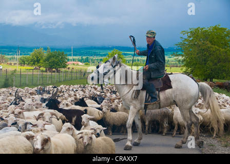 Berger à cheval avec troupeau de moutons dans la région de Kakheti, Géorgie, Caucase, Moyen-Orient Banque D'Images