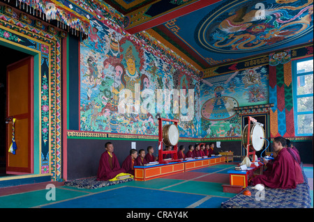 Les moines de la prière, Monastère Nyingma Khinmey Tawang près de Tawang, de l'Arunachal Pradesh, Inde, Asie Banque D'Images