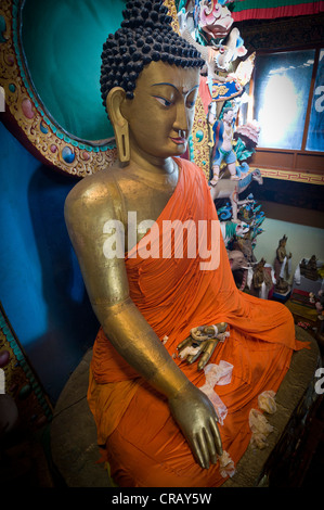 Huit mètres de haut statue Bouddha Sakyamuni dans le monastère de Namgyal Lhatse Galden, le plus grand monastère bouddhiste de l'Inde, de Tawang Banque D'Images