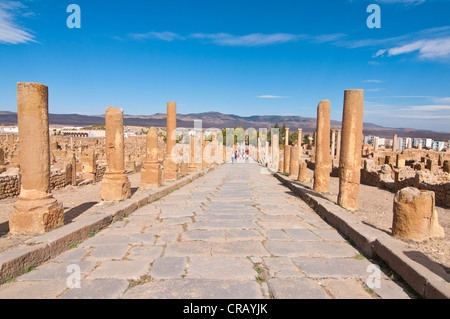Ruines romaines de Timgad, Site du patrimoine mondial de l'UNESCO, l'Algérie, l'Afrique Banque D'Images