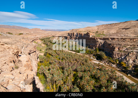 Green rock canyon de Ghouffi dans la Montagnes des Aurès, Algérie, Afrique Banque D'Images