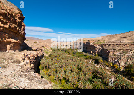 Green rock canyon de Ghouffi dans la Montagnes des Aurès, Algérie, Afrique Banque D'Images