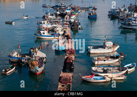 Port d'Alger, Algérie, Afrique Banque D'Images