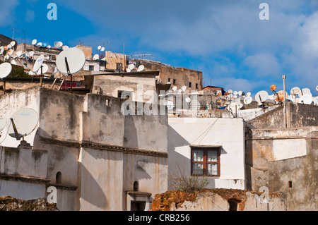 Maisons de la Kasbah, site du patrimoine mondial de l'UNESCO, le quartier historique d'Alger, Algérie, Afrique Banque D'Images