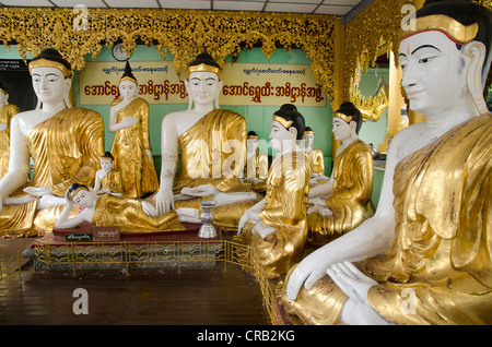 Les statues de Bouddha, de la pagode Shwedagon, Yangon, Rangoon, Myanmar, Birmanie, Asie du Sud, Asie Banque D'Images