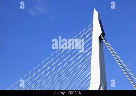 Pont à haubans, pile de pont, des pylônes, le pont Erasmus, Rotterdam, Erasmusbrug, Kop van Zuid, Pays-Bas, Europe Banque D'Images