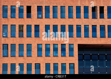 L'architecture moderne, façade, windows Banque D'Images