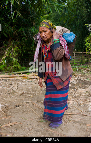 Femme de l'ethnie Adi Gallong transportant du bois sur son dos, le long de, de l'Arunachal Pradesh, au nord-est de l'Inde, l'Inde, l'Asie Banque D'Images