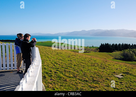 Les touristes de la prise de vue à un point de vue à Kaikoura Seaward Kaikoura, gammes, île du Sud, Nouvelle-Zélande Banque D'Images