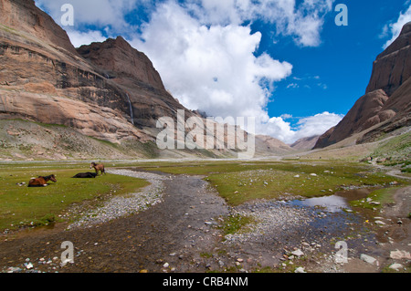 Chemin des pèlerins Kora Kailash, Tibet, l'Asie de l'Ouest Banque D'Images