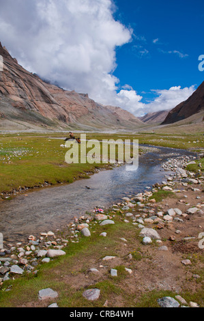 Chemin des pèlerins Kora Kailash, Tibet, l'Asie de l'Ouest Banque D'Images