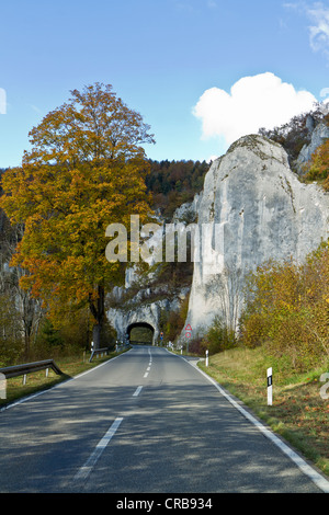 Tunnel dans Donautalstrasse Rock, vallée du Danube Road près de Thiergarten, Parc Naturel du Danube supérieur, district de Sigmaringen Banque D'Images