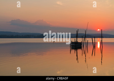 Pièges à poissons dans la première lumière du matin, Iznang, Lac de Constance, Constance district, Bade-Wurtemberg, Allemagne, Europe Banque D'Images