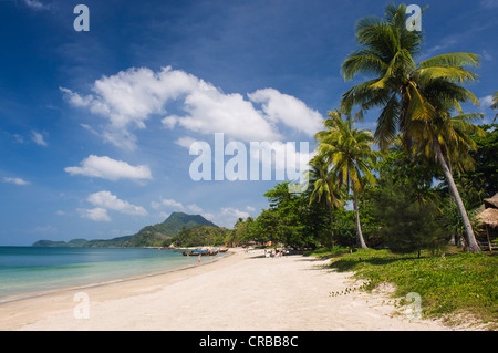 Palm beach, Golden Pearl Beach, Ko Jum ou Koh Pu), Krabi, Thaïlande, Asie du Sud-Est Banque D'Images