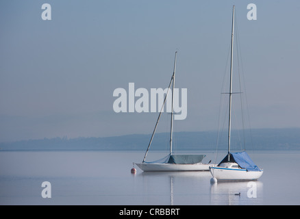 Deux bateaux à voile à la lumière matin brouillard, Diessen sur le lac Ammersee, Bavaria, Germany, Europe Banque D'Images