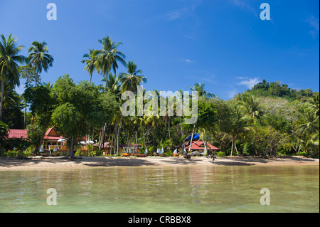 La plage bordée de palmiers, l'île de Ko Muk ou Ko Mook, Trang, Thaïlande, Asie du Sud-Est, Asie Banque D'Images