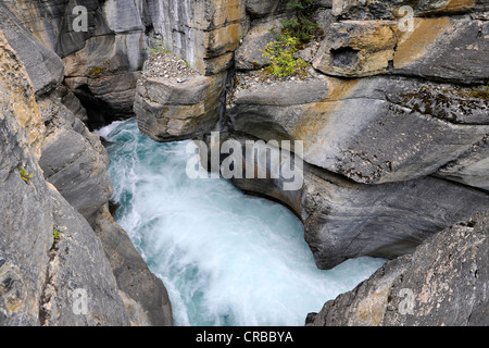 Canyon Mistaya, Gorge de la rivière Mistaya, promenade des Glaciers, le parc national Banff, Rocheuses canadiennes, l'Alberta, Canada Banque D'Images